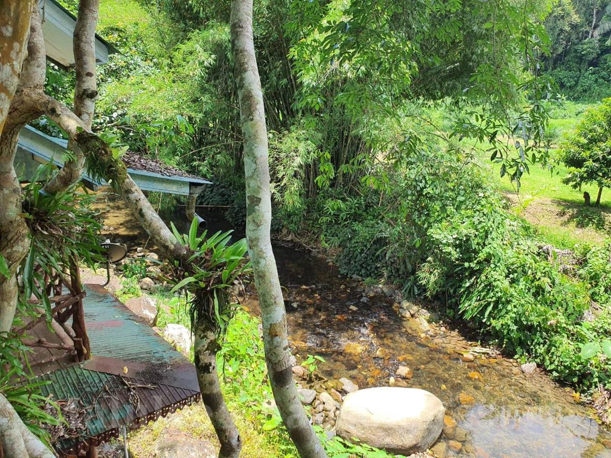 Malulee Khaosok Resort Khao Sok National Park Esterno foto