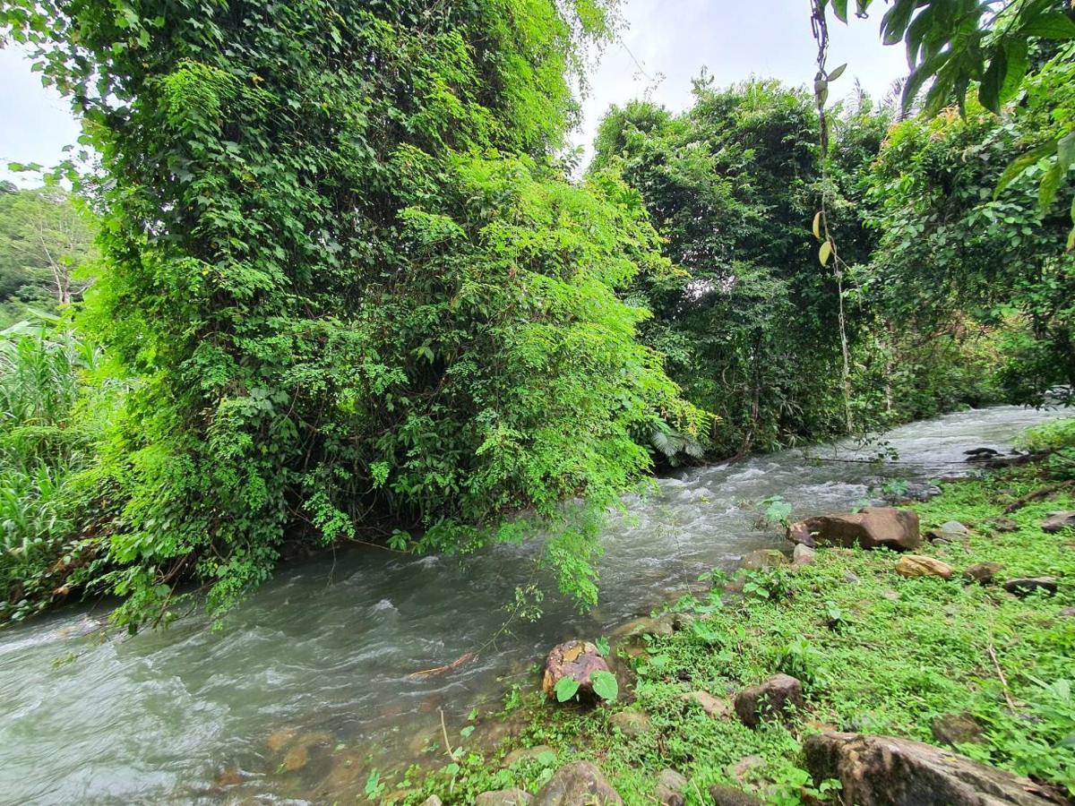 Malulee Khaosok Resort Khao Sok National Park Esterno foto