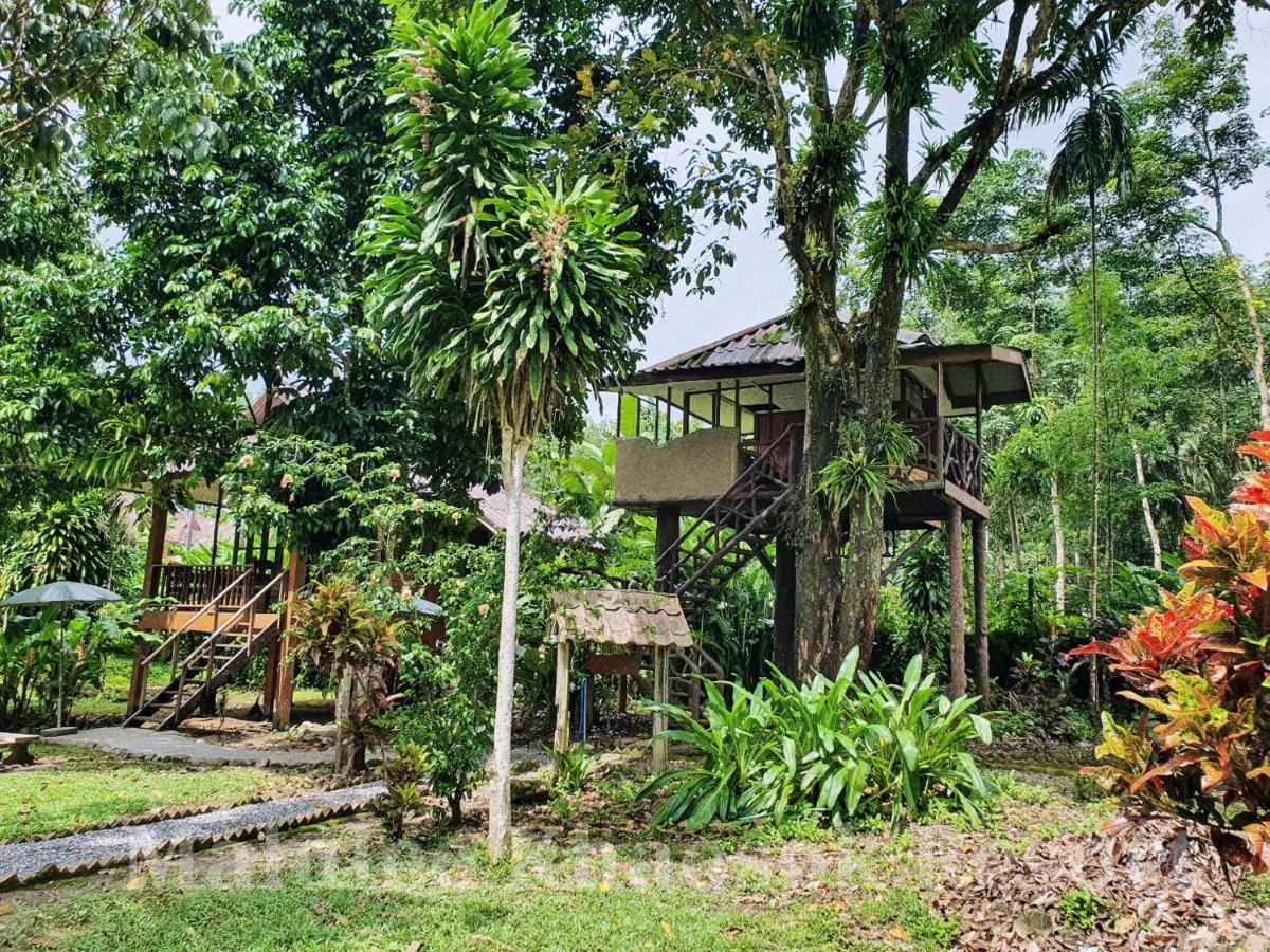 Malulee Khaosok Resort Khao Sok National Park Esterno foto