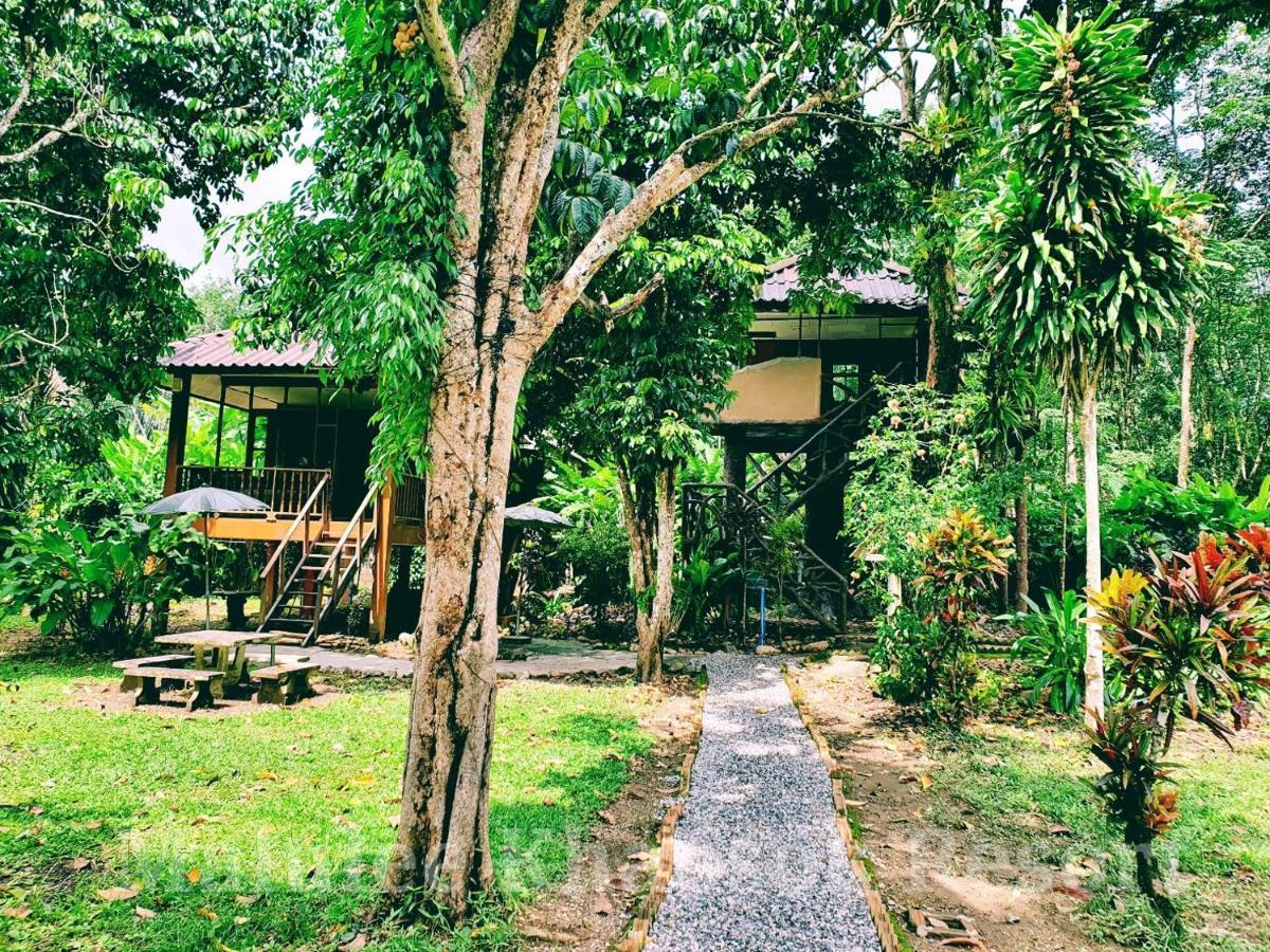 Malulee Khaosok Resort Khao Sok National Park Esterno foto